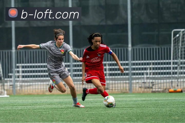 互动解说服务